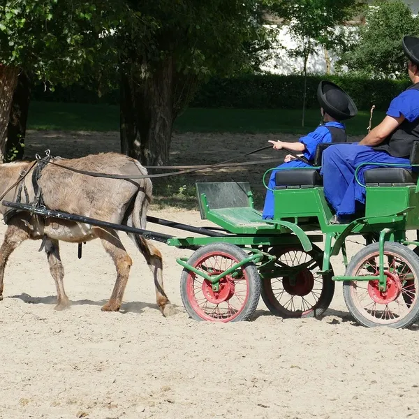 strona dla coacha pakiet na start